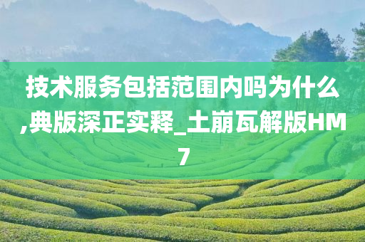 技术服务包括范围内吗为什么,典版深正实释_土崩瓦解版HM7