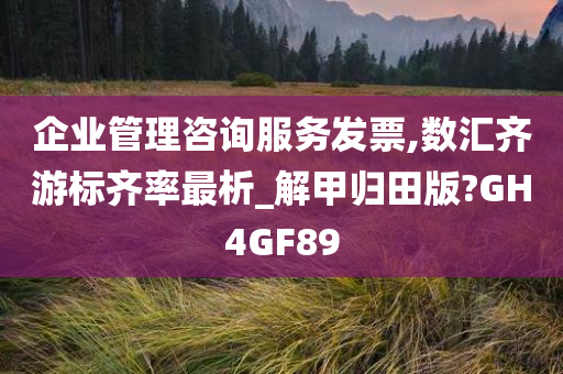 企业管理咨询服务发票,数汇齐游标齐率最析_解甲归田版?GH4GF89