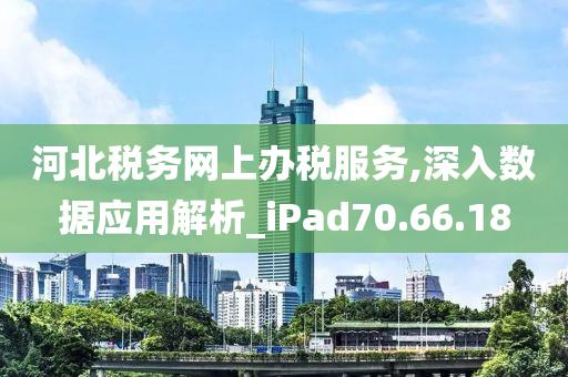 河北税务网上办税服务,深入数据应用解析_iPad70.66.18