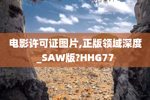 电影许可证图片,正版领域深度_SAW版?HHG77