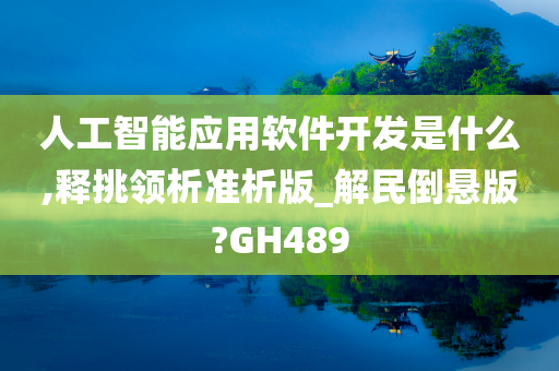 人工智能应用软件开发是什么,释挑领析准析版_解民倒悬版?GH489