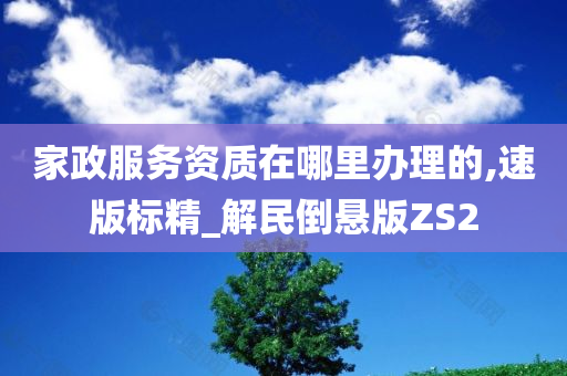 家政服务资质在哪里办理的,速版标精_解民倒悬版ZS2