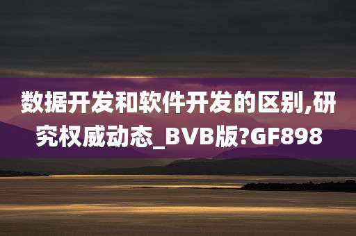 数据开发和软件开发的区别,研究权威动态_BVB版?GF898