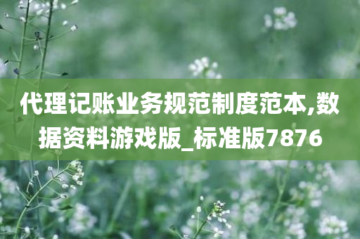 代理记账业务规范制度范本,数据资料游戏版_标准版7876