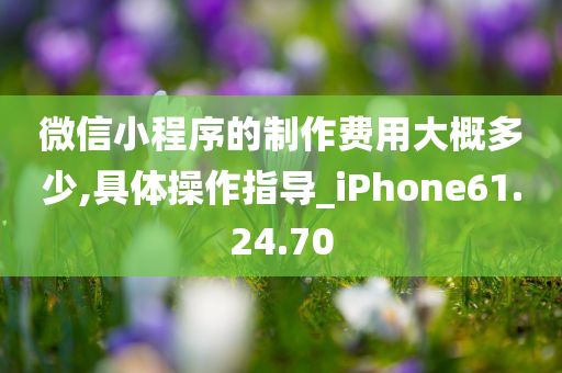 微信小程序的制作费用大概多少,具体操作指导_iPhone61.24.70