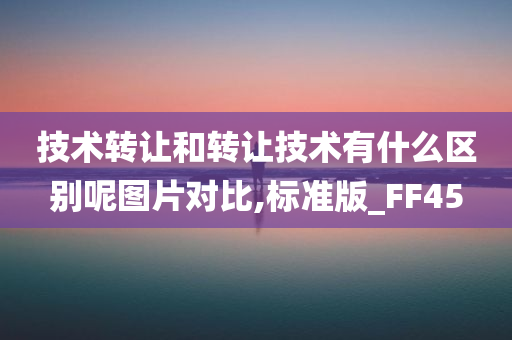 技术转让和转让技术有什么区别呢图片对比,标准版_FF45