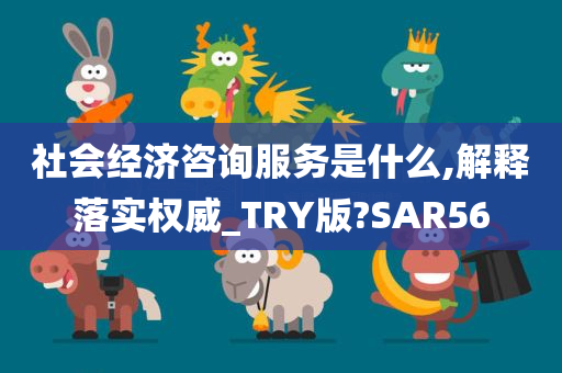 社会经济咨询服务是什么,解释落实权威_TRY版?SAR56