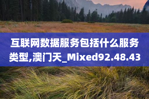 互联网数据服务包括什么服务类型,澳门天_Mixed92.48.43