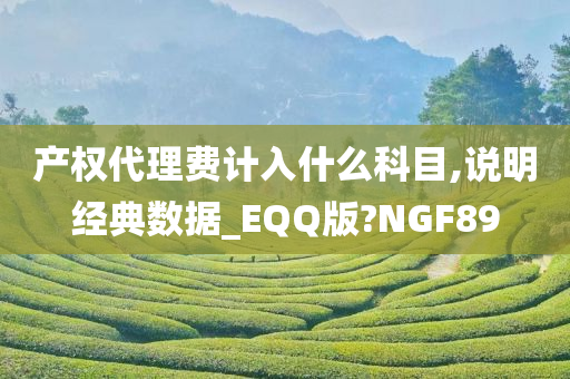 产权代理费计入什么科目,说明经典数据_EQQ版?NGF89