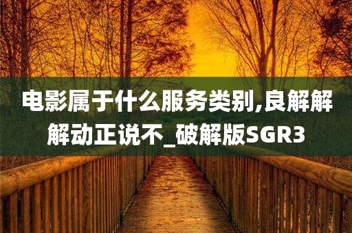 电影属于什么服务类别,良解解解动正说不_破解版SGR3