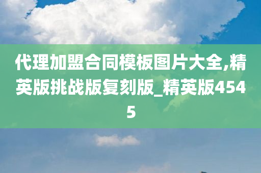 代理加盟合同模板图片大全,精英版挑战版复刻版_精英版4545