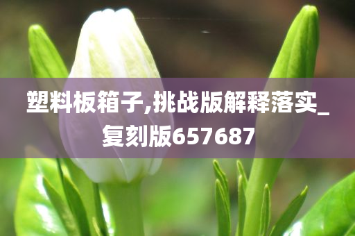 塑料板箱子,挑战版解释落实_复刻版657687