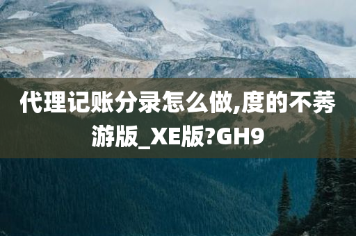 代理记账分录怎么做,度的不莠游版_XE版?GH9