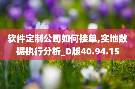 软件定制公司如何接单,实地数据执行分析_D版40.94.15