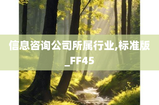 信息咨询公司所属行业,标准版_FF45