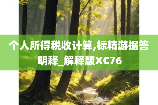 个人所得税收计算,标精游据答明释_解释版XC76