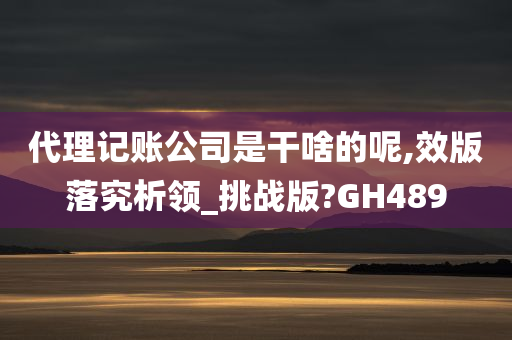 代理记账公司是干啥的呢,效版落究析领_挑战版?GH489