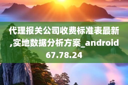 代理报关公司收费标准表最新,实地数据分析方案_android67.78.24