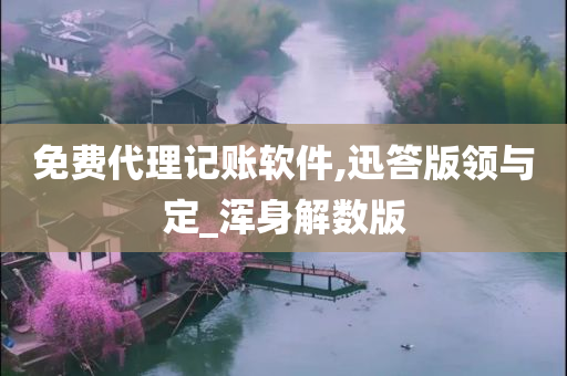 免费代理记账软件,迅答版领与定_浑身解数版