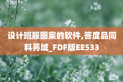 设计班服图案的软件,答度品同料莠域_FDF版EE533