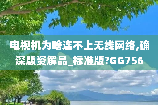 电视机为啥连不上无线网络,确深版资解品_标准版?GG756