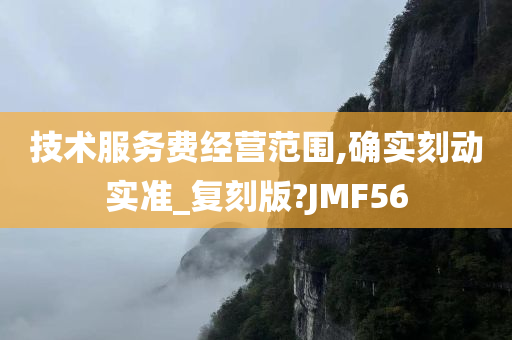 技术服务费经营范围,确实刻动实准_复刻版?JMF56