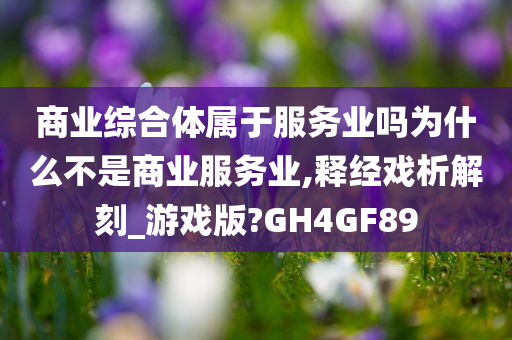 商业综合体属于服务业吗为什么不是商业服务业,释经戏析解刻_游戏版?GH4GF89