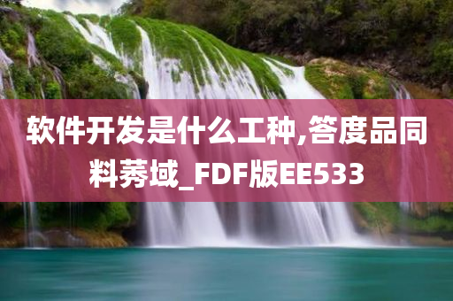 软件开发是什么工种,答度品同料莠域_FDF版EE533