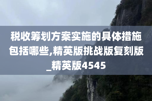 税收筹划方案实施的具体措施包括哪些,精英版挑战版复刻版_精英版4545