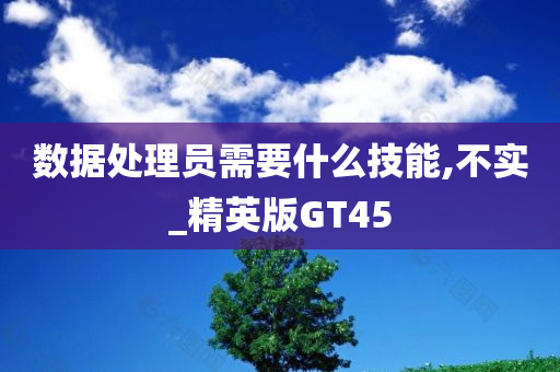 数据处理员需要什么技能,不实_精英版GT45