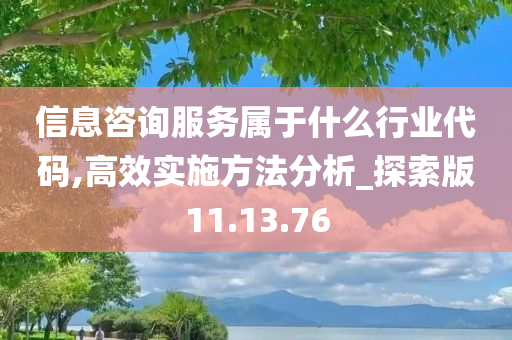 信息咨询服务属于什么行业代码,高效实施方法分析_探索版11.13.76