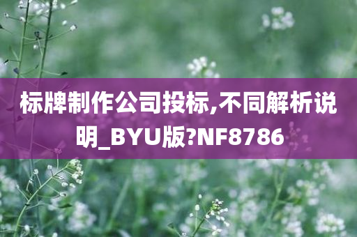 标牌制作公司投标,不同解析说明_BYU版?NF8786