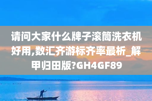 请问大家什么牌子滚筒洗衣机好用,数汇齐游标齐率最析_解甲归田版?GH4GF89