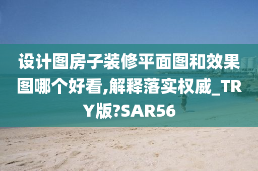 设计图房子装修平面图和效果图哪个好看,解释落实权威_TRY版?SAR56