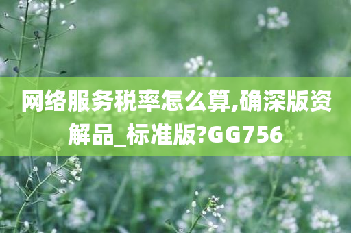 网络服务税率怎么算,确深版资解品_标准版?GG756