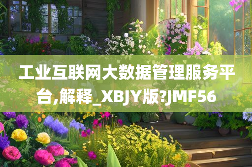 工业互联网大数据管理服务平台,解释_XBJY版?JMF56