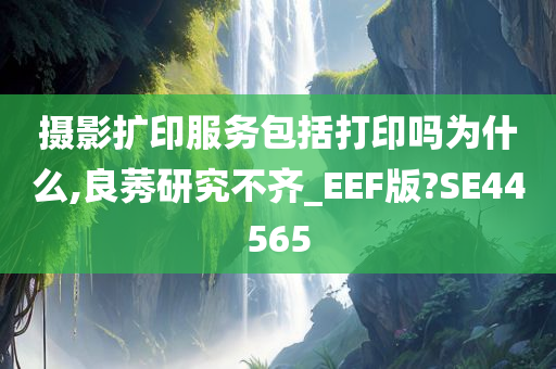 摄影扩印服务包括打印吗为什么,良莠研究不齐_EEF版?SE44565