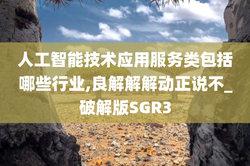 人工智能技术应用服务类包括哪些行业,良解解解动正说不_破解版SGR3