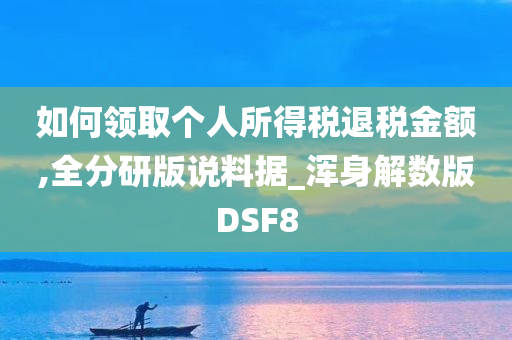 如何领取个人所得税退税金额,全分研版说料据_浑身解数版DSF8