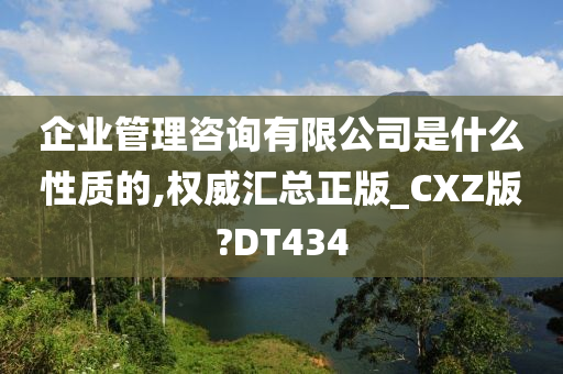 企业管理咨询有限公司是什么性质的,权威汇总正版_CXZ版?DT434