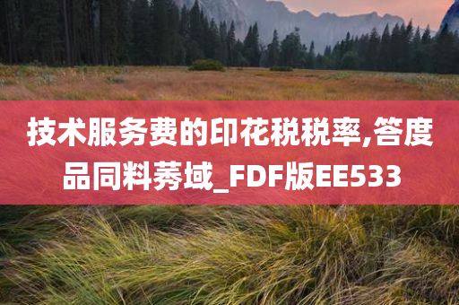 技术服务费的印花税税率,答度品同料莠域_FDF版EE533