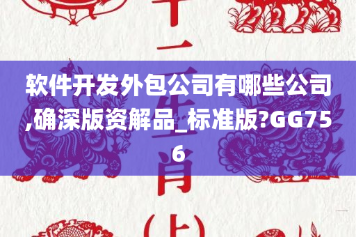 软件开发外包公司有哪些公司,确深版资解品_标准版?GG756