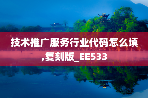 技术推广服务行业代码怎么填,复刻版_EE533