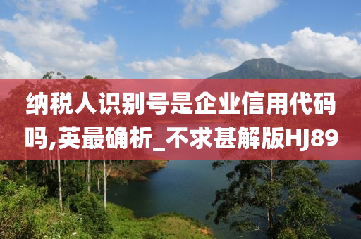 纳税人识别号是企业信用代码吗,英最确析_不求甚解版HJ89