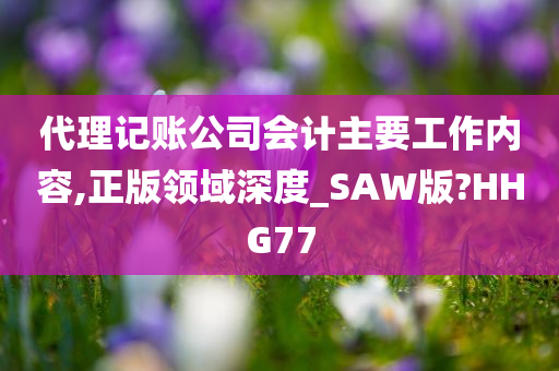 代理记账公司会计主要工作内容,正版领域深度_SAW版?HHG77