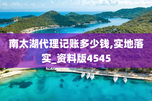 南太湖代理记账多少钱,实地落实_资料版4545