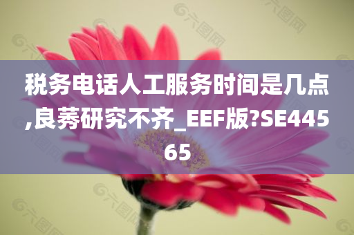 税务电话人工服务时间是几点,良莠研究不齐_EEF版?SE44565