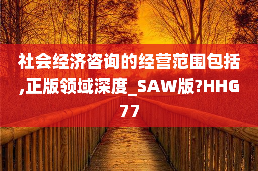 社会经济咨询的经营范围包括,正版领域深度_SAW版?HHG77