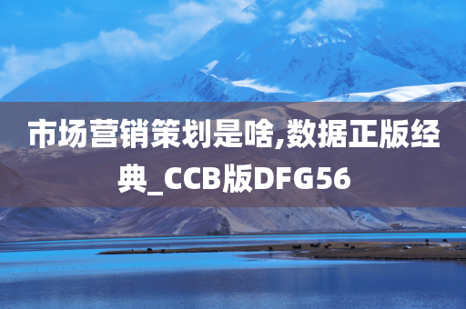 市场营销策划是啥,数据正版经典_CCB版DFG56