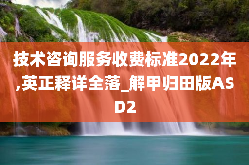 技术咨询服务收费标准2022年,英正释详全落_解甲归田版ASD2